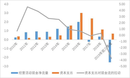 资本现金流 是什么？