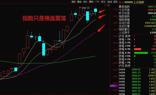 关于股票的操作T+1