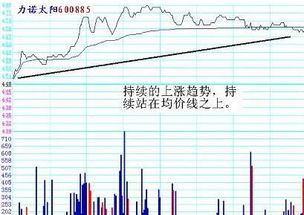 股票底部钓鱼线是什么