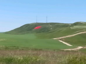 塔城山花游