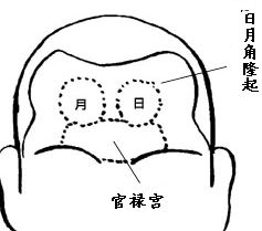 从额头看出你一生命运如何 