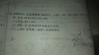 如何对数学公式进行查重标红