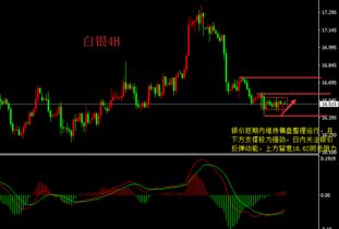 现货白银具体是个什么意思