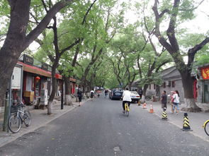 京城仅存有牌楼的街道,街口两端进入给人感觉不一,昔日首善之地,今日却现杂乱 北京国子监街半小时掠影