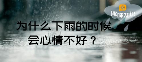 为什么下雨的时候会心情不好