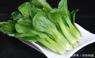 担心买的青菜打农药教你清洗青菜的3个小妙招,保证绿色又干净 