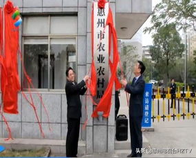 惠州 又有一批新组建和调整的机构进行了集中挂牌