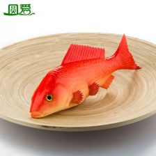 红鲤鱼为什么不能长期养