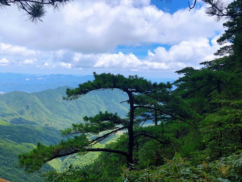 宜春明月山一日游最全攻略 