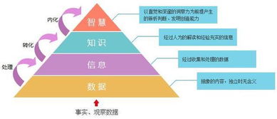 知识内化系统是怎样建立和起作用的(知识内化过程)