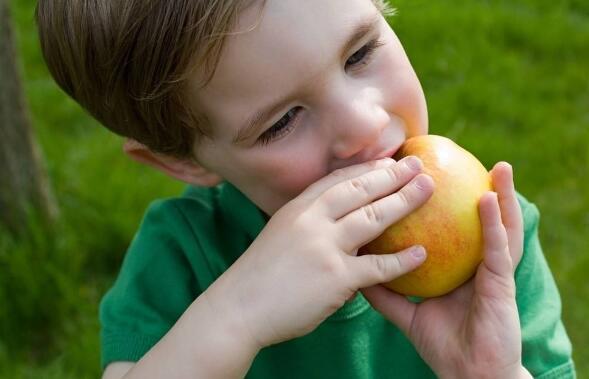 为什么说晚上吃苹果是毒苹果 营养师告诉你,这时间吃营养翻倍