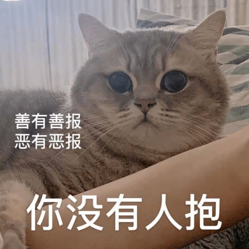 猪和狗能结为夫妻吗