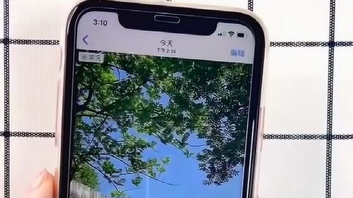 苹果原相机,你知道iphone实况照片到底有什么作用吗 