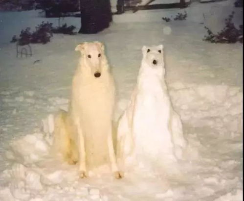 雪人出没,请注意