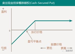 某股票的看跌期权的执行价为65元，该股票的现价为60元，则该看跌期权的内在价值是多