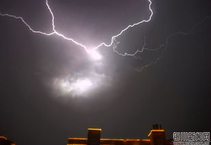 今日银川 白入伏,夜雷雨 供网友神图 