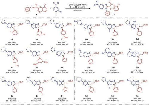 南方科技大学徐明华课题组JACS 手性2,3 二取代苯并二氢呋喃的立体发散性合成