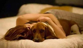 为什么狗狗经常想上床一起睡觉 