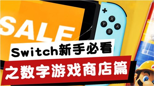 Switch新手小白必看 数字版游戏篇,eShop分区购买及常见问题 