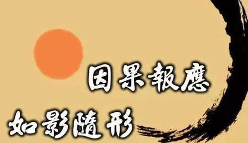 有两条根本规律 一条叫法从缘起,一条叫果从因生 因果 