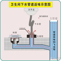 厕所地漏堵了怎么办 厕所堵漏疏通小窍门