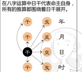 白话文解释八字算命中的 十神 是什么东东,适宜没有命理基础的朋友阅读