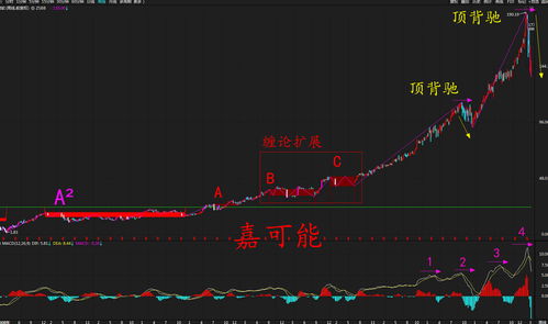 股市macd线图怎么看的最新相关信息