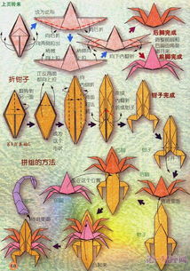 十二星座折纸 教你折出12星座形状 