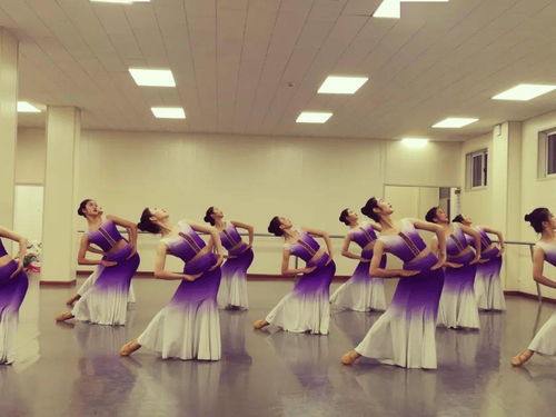 湖南舞蹈专业专科学院有哪些学校