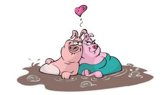 5月份属猪人的爱情运势 步入正轨 