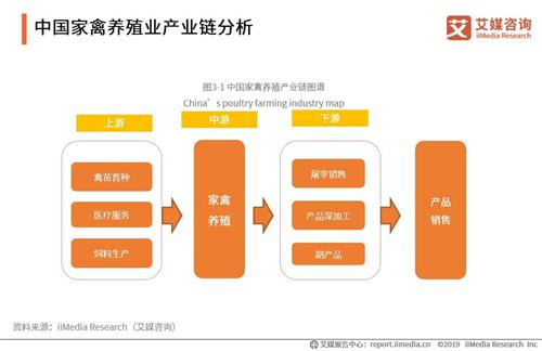 未来几年中国家禽养殖市场怎样？