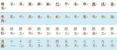 从出生看为什么这些日子命好 准的吓人 定可出人头地 有你吗 