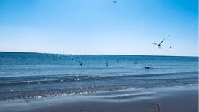 平静的丽水海滩 波浪的声音 白噪声 傍晚 海鸥声 海浪声
