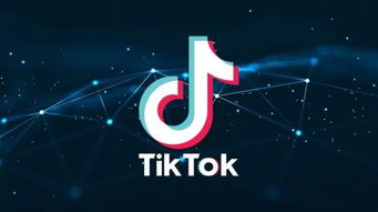 小米tiktok国际版_TikTok零售电商