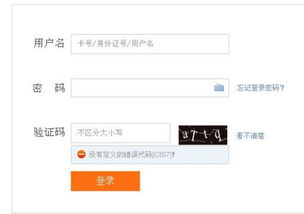 中国农业银行用K令用户登录时提示没有定义的错误代码 请问怎么解决 