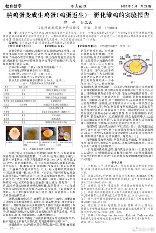 参考文献查重：学术诚信的守护者