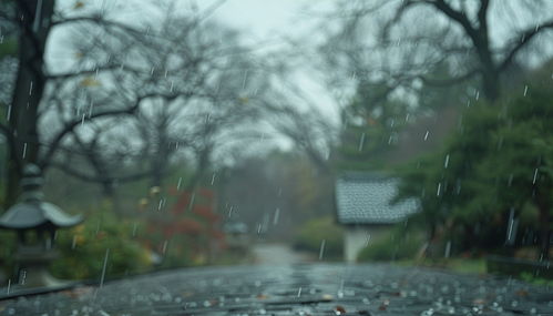 下雨天外出旅的注意事项(长沙天气预报提醒出门带伞)