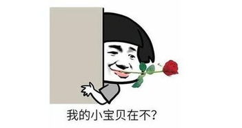 数学老师打人疼还是语文老师打人疼