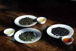 喝铁观音茶可以喝牛蒡茶吗,为什么牛蒡茶不能与其它茶混饮和冲泡?