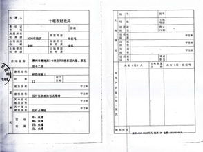 证明公司股份所有权需要哪些证明文件？