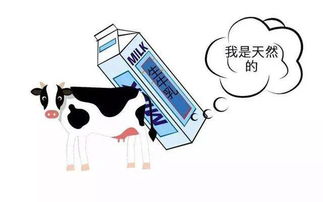 为什么我觉得生牛乳难喝