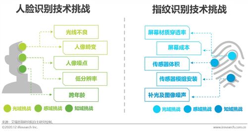 软件支援环境是指什么(任何应用软件都需要依赖其运行环境)