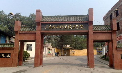 广东松山职业技术学院(广东松山职业技术学院在哪里)