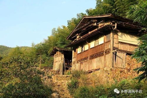 樟树传说 宗祠故事 三明这个小山村,做梦都想去