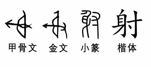 汉字小时候 一个文字,一段历史