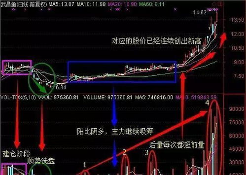 股票市场具体投资策略怎么写 只想知道有哪些步骤