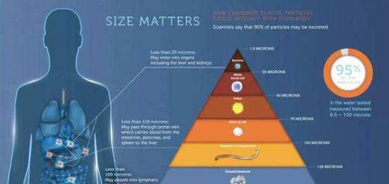 科学家 人体内发现塑料,网友 怎么来的 科学家 自食恶果