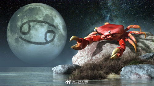 栾叔塔罗12星座下周运势 06 29 07 05 天蝎 射手 双鱼有桃花