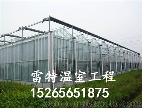 智能型温室设计公司 山东智能大棚建设 价格合理