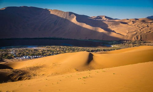 沙漠居然吸收了20 的二氧化碳,那么还要治理沙漠吗